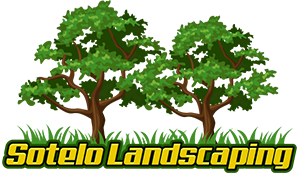 Sotelo Landscaping
