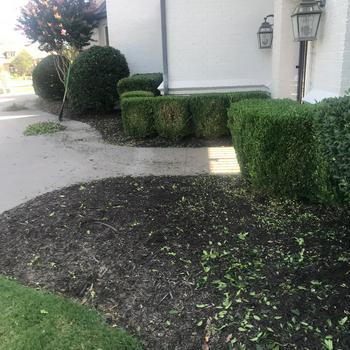Our Work