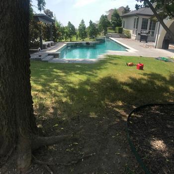 Our Work