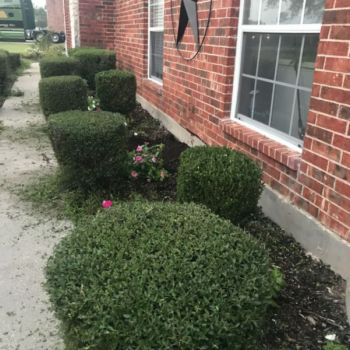 Our Work